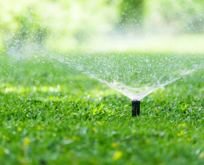 aspersor-automatico-cesped-jardin-accion-regando-pasto_103077-3 aspersor-automatico-cesped-jardin-accion-regando-pasto_103077-3